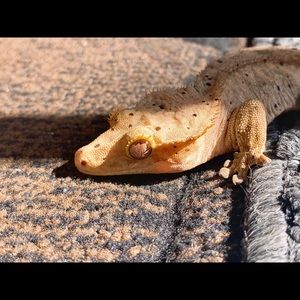 Meet your Posher, Victoria